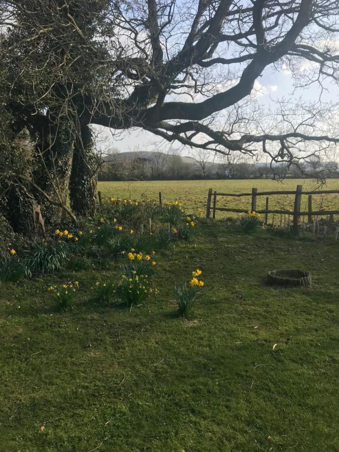 The Old Flower Field Hurstpierpoint Bagian luar foto